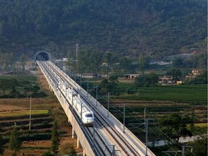 道路、橋梁、隧道與市政工程質(zhì)量控制精華集萃——筑龍論壇專業(yè)分享